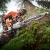Pilarka STIHL MS 500i Pierwsza na świecie pilarka łańcuchowa z elektronicznym wtryskiem paliwa
